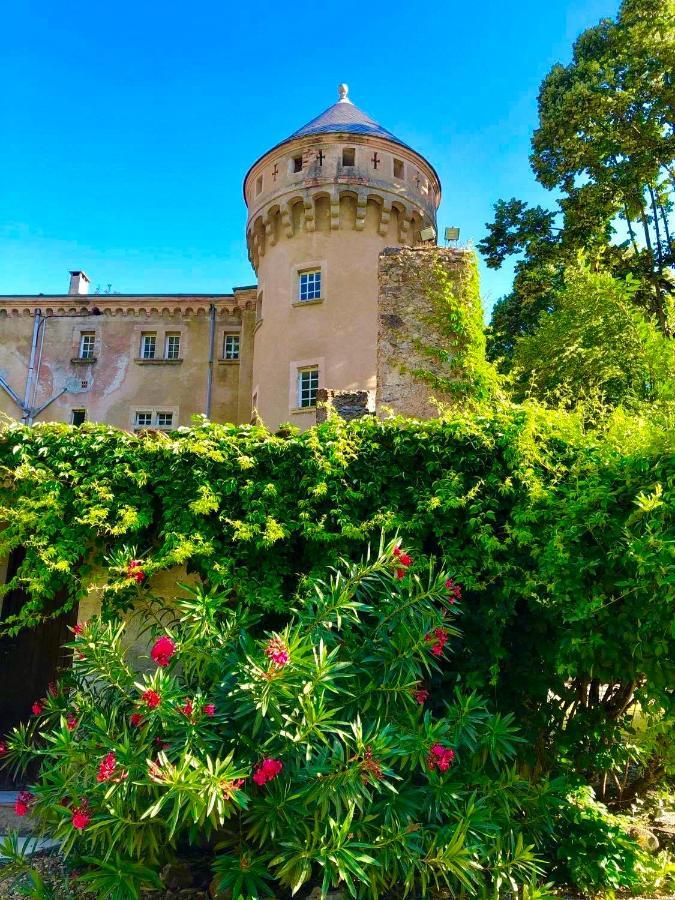 Hotel Chateau Du Rey Saint-André-de-Majencoules Exteriér fotografie