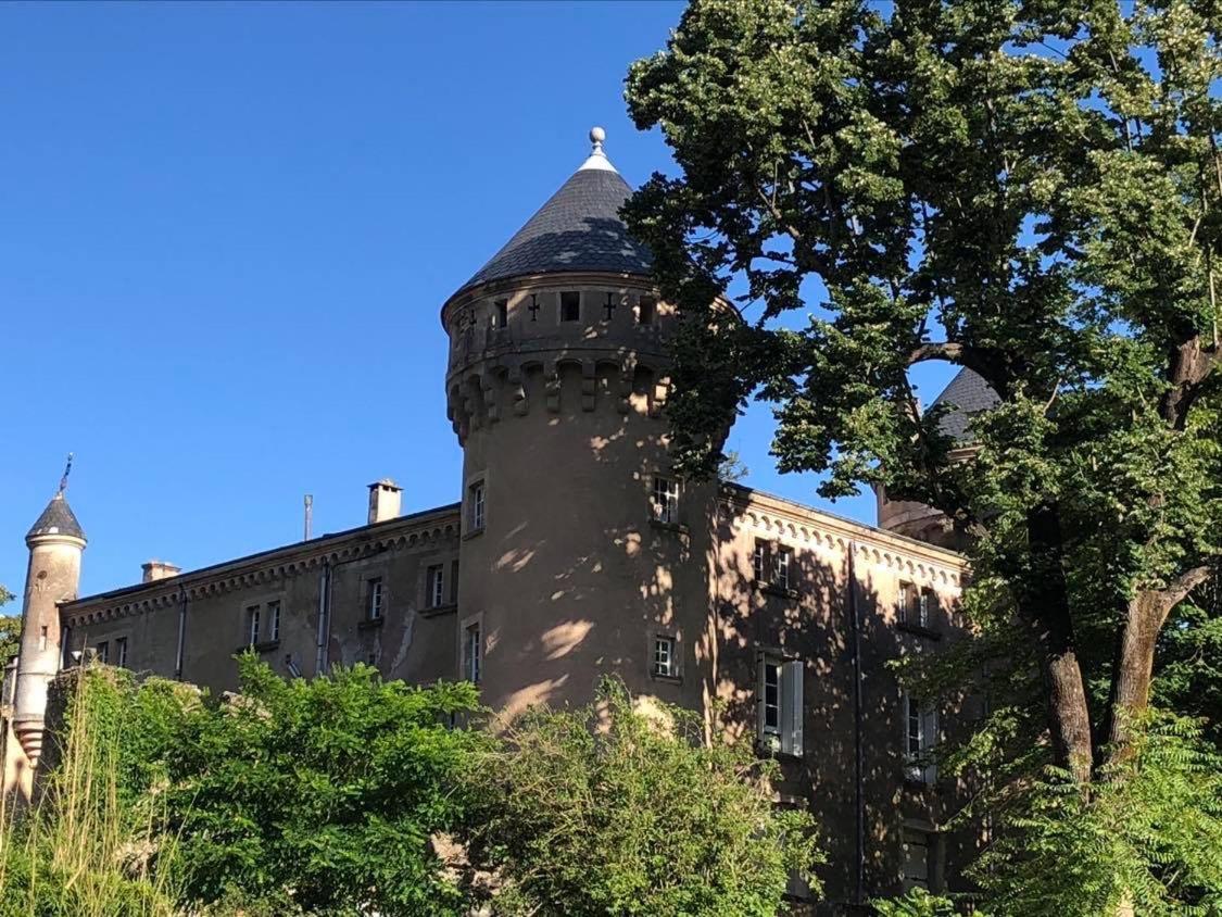 Hotel Chateau Du Rey Saint-André-de-Majencoules Exteriér fotografie