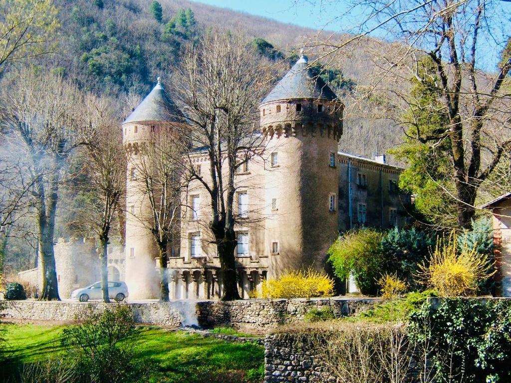 Hotel Chateau Du Rey Saint-André-de-Majencoules Exteriér fotografie